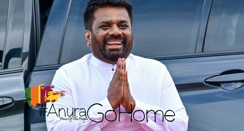 Anura-Go-Home