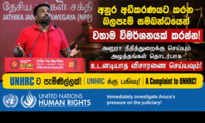 United-Nations-Human-Rights-Council