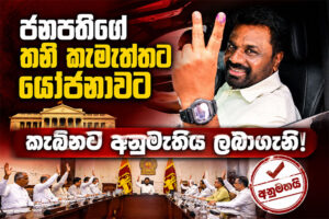 AKD_ER_Anura-Go-Home_