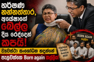 Anura-Go-Home_-Born-again