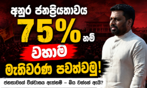 If-Anuras-popularity-is-at-75-then-lets-hold-the-election-immediately