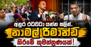 Namal_rajapaksha