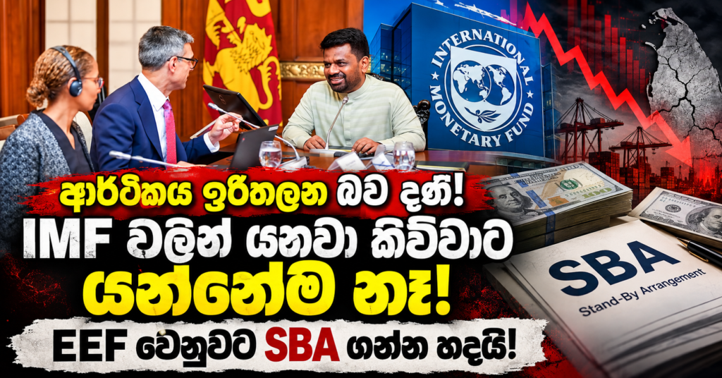 IMF_SBA_EEF