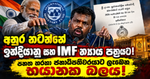 INDIA_IMF