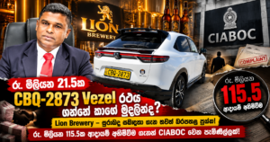 CIABOC Investigation_ Vezel, Brewery, and Missing Millions