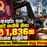 Coal Scandal Parliament Investigation Thumbnail