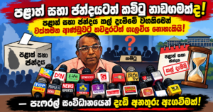 Election Delay_ A Press Conference PAFFREL