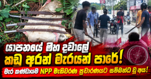 Gritty Sri Lankan Weapons News Collage