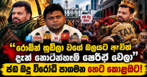 Robin Hood to Tax Collector_ Protest Press Composite