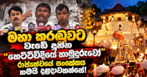 Sensational Dalada News Collage