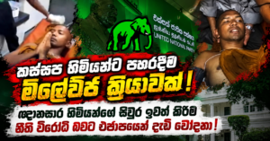 Sinhala Political News Collage