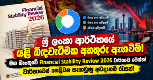 Sri Lanka Financial Crisis Report Infographic