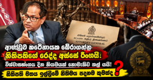 Sri Lankan Political-Legal News Montage